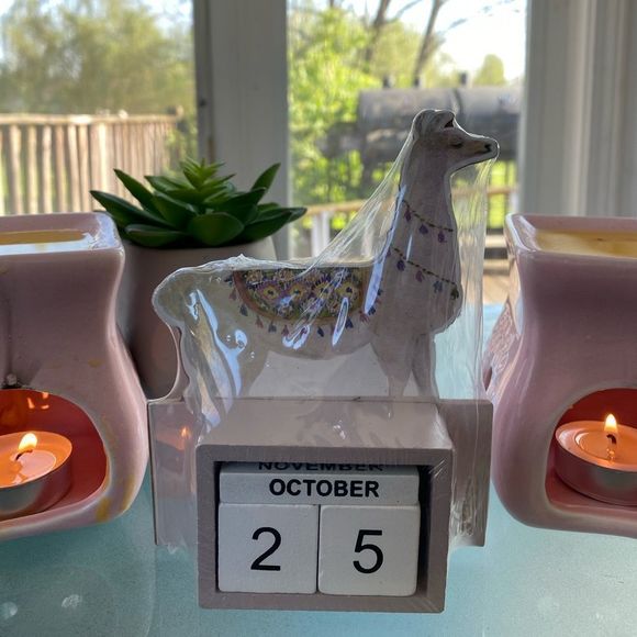 ✨ 🌵🦙 Llama Desk Perpetual Block Calendar 🦙✨🏷✨ - Picture 5 of 10